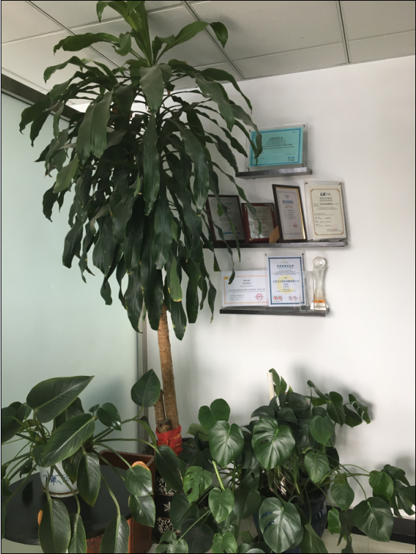 品牌授權證書展示區(qū)