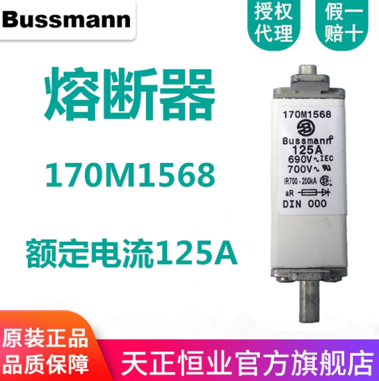 bussmann 歐標(biāo)方體熔斷器 170M1568